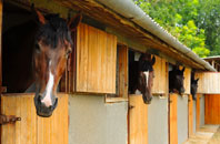 free Bedworth Heath stable construction quotes